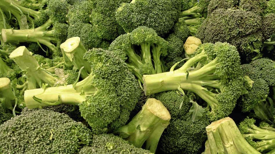 Broccoli Cuts Recalled by Producer after Positive Listeria Tests