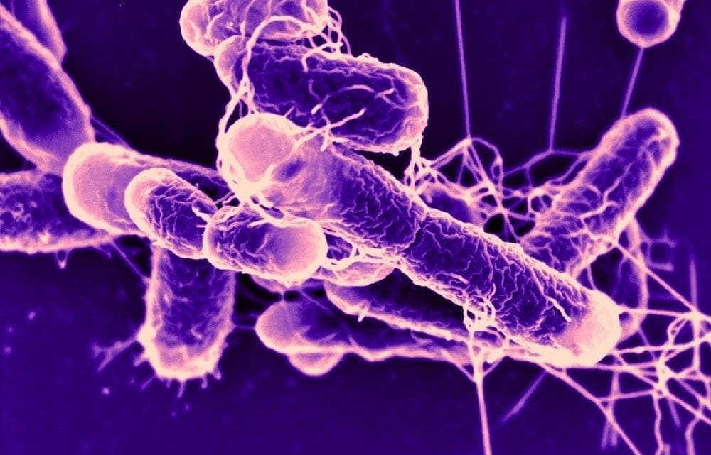 General Mills E. Coli Lawsuit: At least 63 Victims have been Identified ...