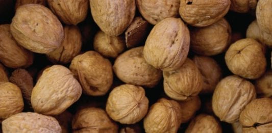 Gibson Farms Voluntarily Recalls Organic Light Halves and Pieces Shelled with Walnuts 