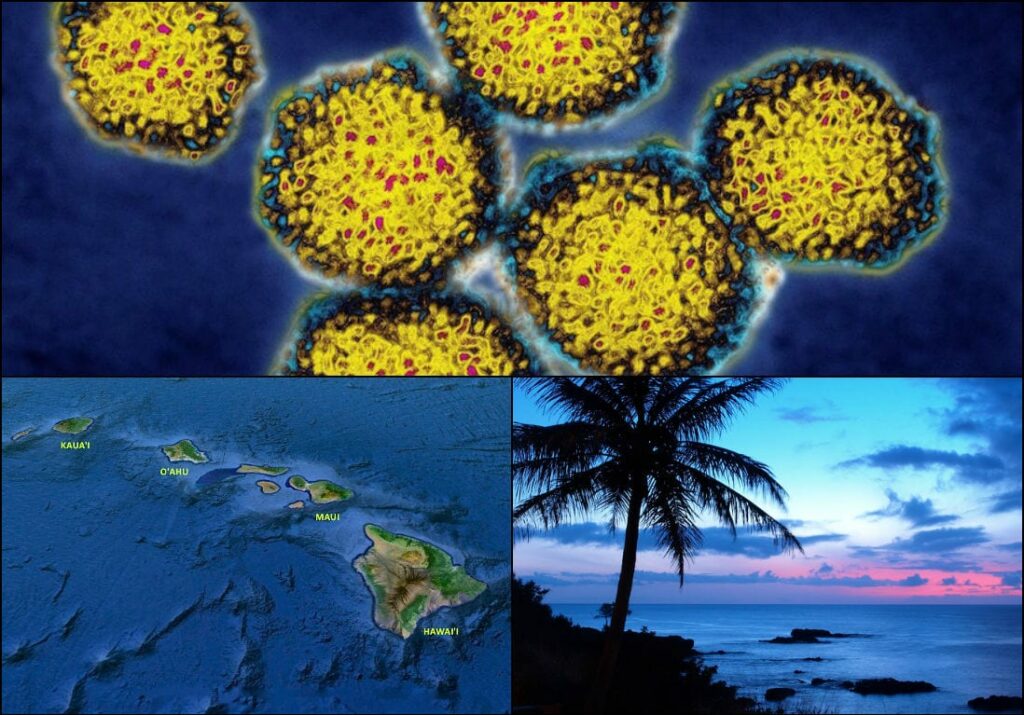 Mauna Loa Macadamia Nut  E. coli Recall:  Well Water at the Company’s Kea’au, Hawaii, Facility Tests Positive for E. Coli