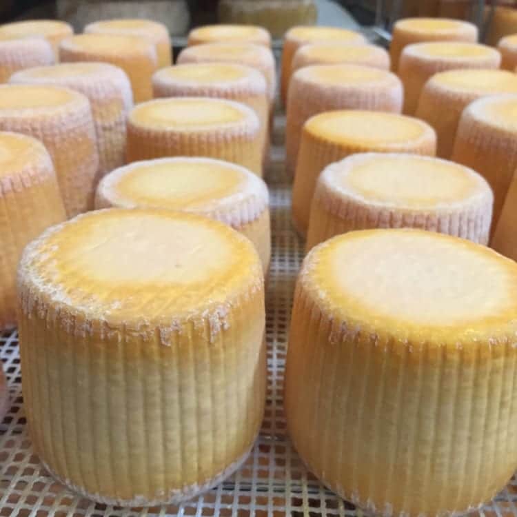 Vulto Listeria Outbreak Leads to 2 Listeria Deaths: Listeria Recalls Outpace Other Pathogens in Recent Years in Fatalities and High Rate of Hospitalizations Vulto Listeria Outbreak Leads to 2 Listeria Deaths: Listeria Recalls Outpace Other Pathogens in Recent Years in Fatalities and High Rate of Hospitalizations