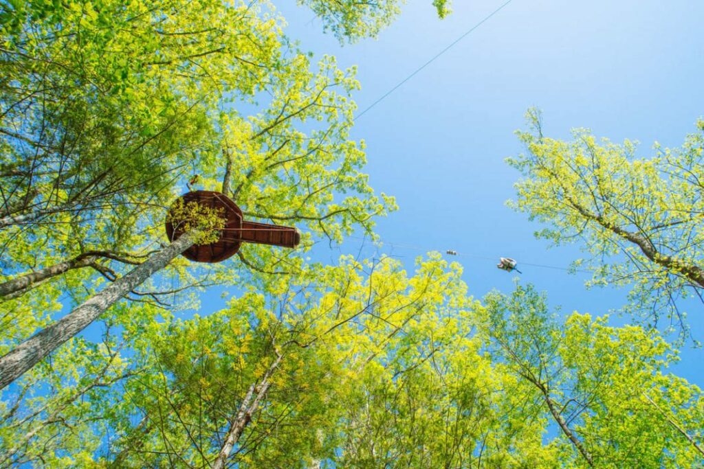 Climb Works Zip Line Canopy Tour E coli Outbreak:  As Many as 500 Potential Illnesses