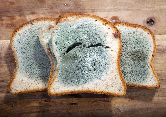 https://www.foodpoisoningnews.com/wp-content/uploads/2019/05/Mold-Growing-Rapidly-On-Moldy-Bread-In-Green-And-White-Spores.jpg