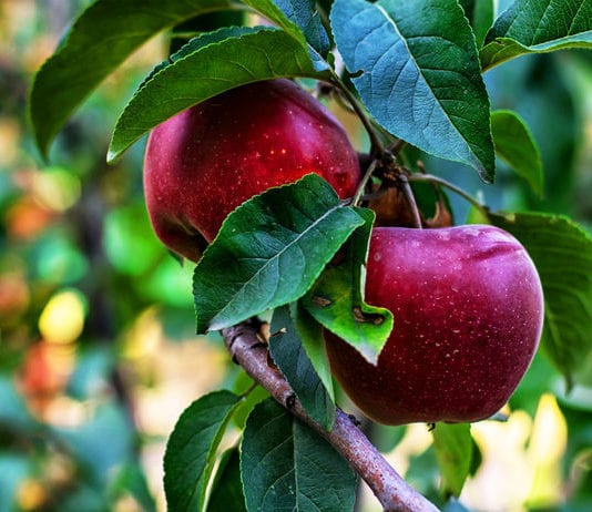 Food Poisoning News Latest Outbreaks Prevention Tips