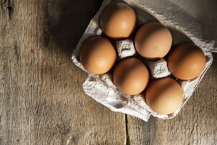 Prevent Salmonella Contamination When Handling Eggs | Food Poisoning News