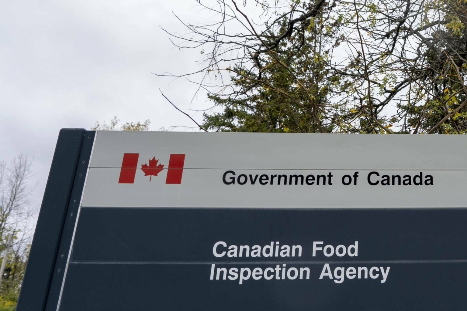 Updated Food Recall Warning (E. coli) – Various raw beef and raw veal products