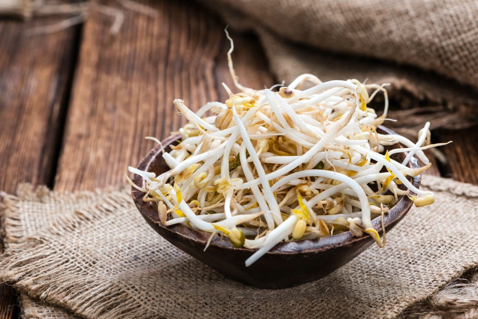 Salmonella Found in Bean Sprouts in Sobeys and Foodland Brand Asian Vegetable Mix
