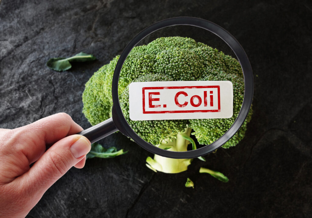 E Coli contamination