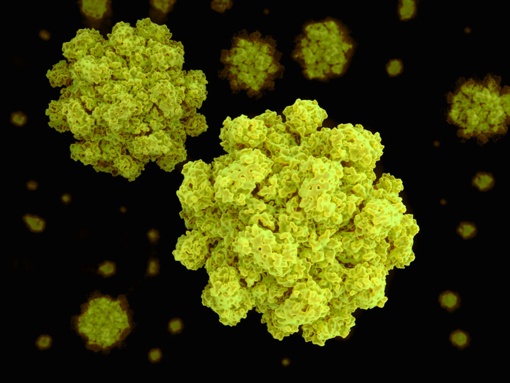 Norovirus illustration on black background