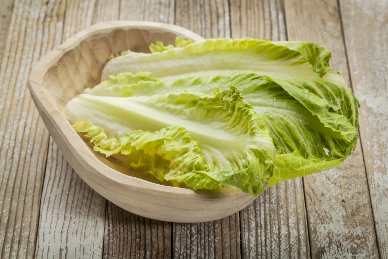 Ocean Mist Farms Cyclospora Lawyer Update: Romaine Lettuce Products Recalled in Wisconsin Due to Cyclospora Contamination.
