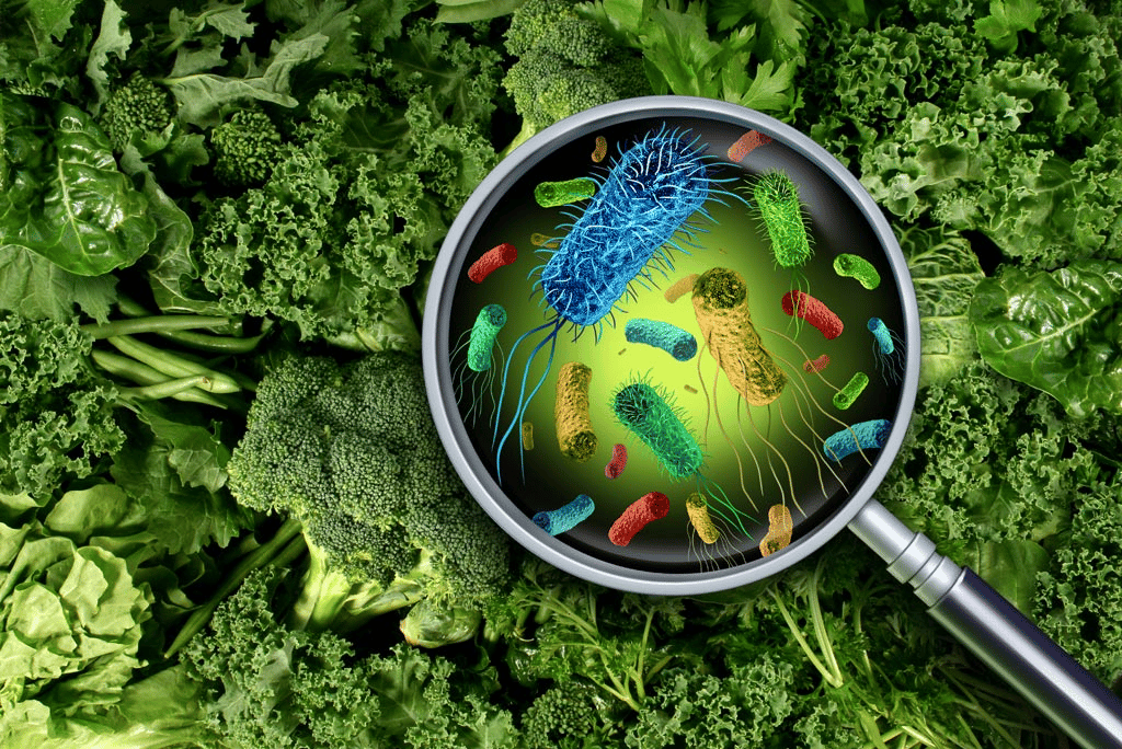 Food contamination can be deadly