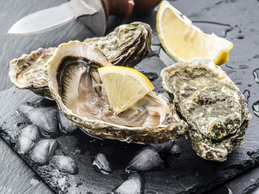 How to Eat Oysters Safely Avoiding Deadly Vibrio Bacteria Food Poisoning News