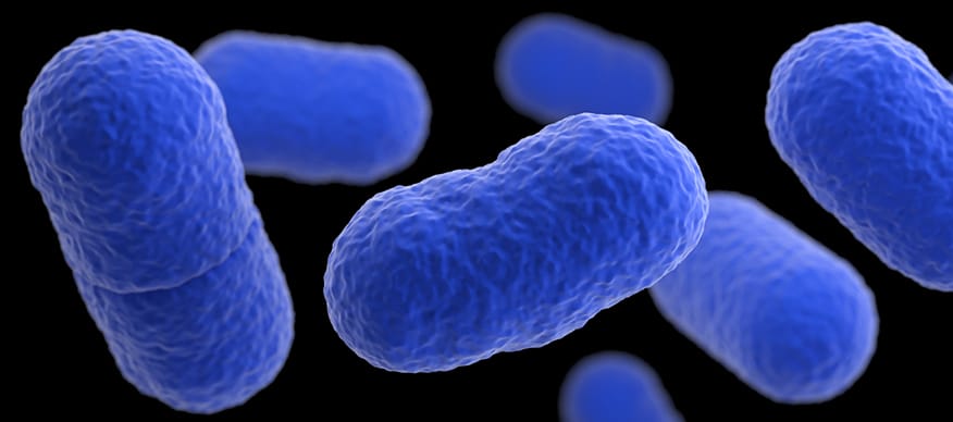 Listeria Outbreak with Unknown Food Source Listeria Outbreak with Unknown Food Source