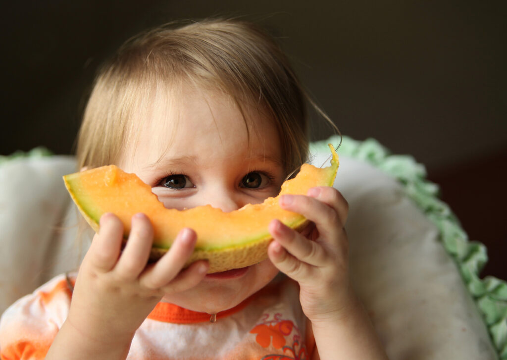 FDA Releases of 2022 Cantaloupe Salmonella Outbreak