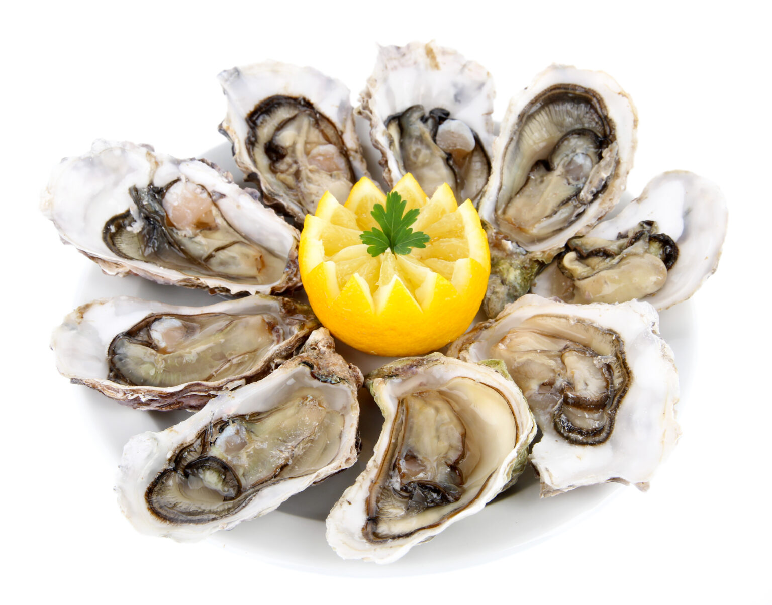 FDA Issues Alert Regarding Norovirus and Oysters From Nova Scotia