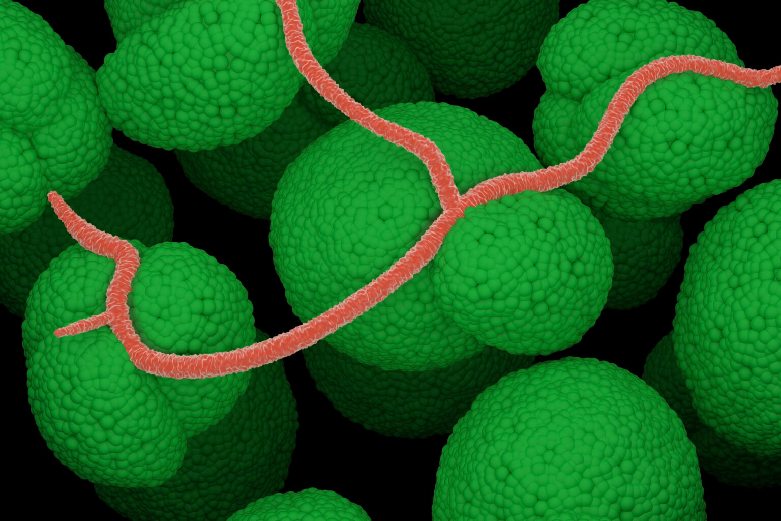 AvKARE LLC Nationwide Recall of Atovaquone Oral Suspension, USP 750 mg/5mL Due to Potential Bacillus Cereus Contamination