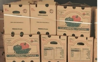 Multi-state Whole Cucumber Recall Due to Potential Salmonella Contamination Multi-state Whole Cucumber Recall Due to Potential Salmonella Contamination