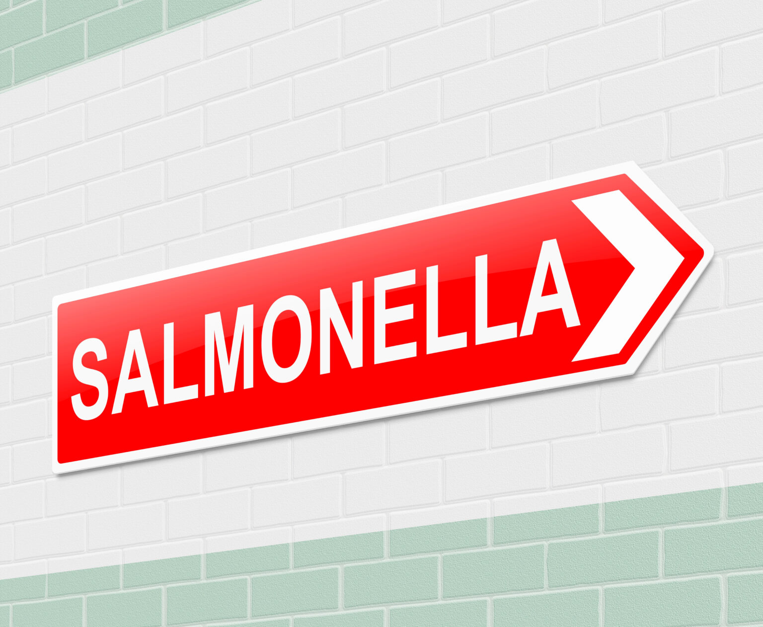 Salmonella – It’s Not Just in Your Food Salmonella – It’s Not Just in Your Food