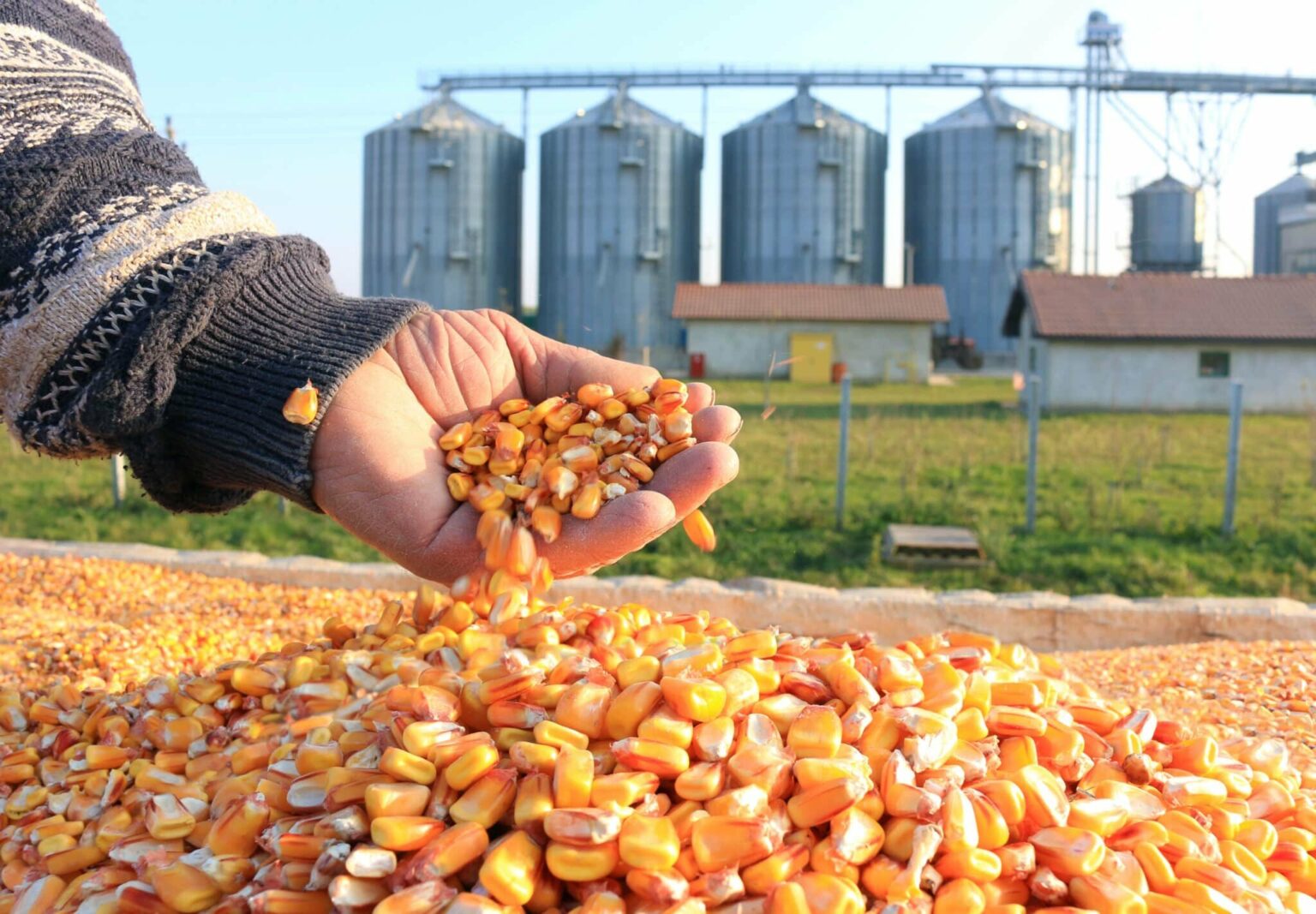 One Contaminated Ingredient, Many Victims: How a Single Food Component Can Trigger Widespread Foodborne Illness Across Multiple Products One Contaminated Ingredient, Many Victims: How a Single Food Component Can Trigger Widespread Foodborne Illness Across Multiple Products