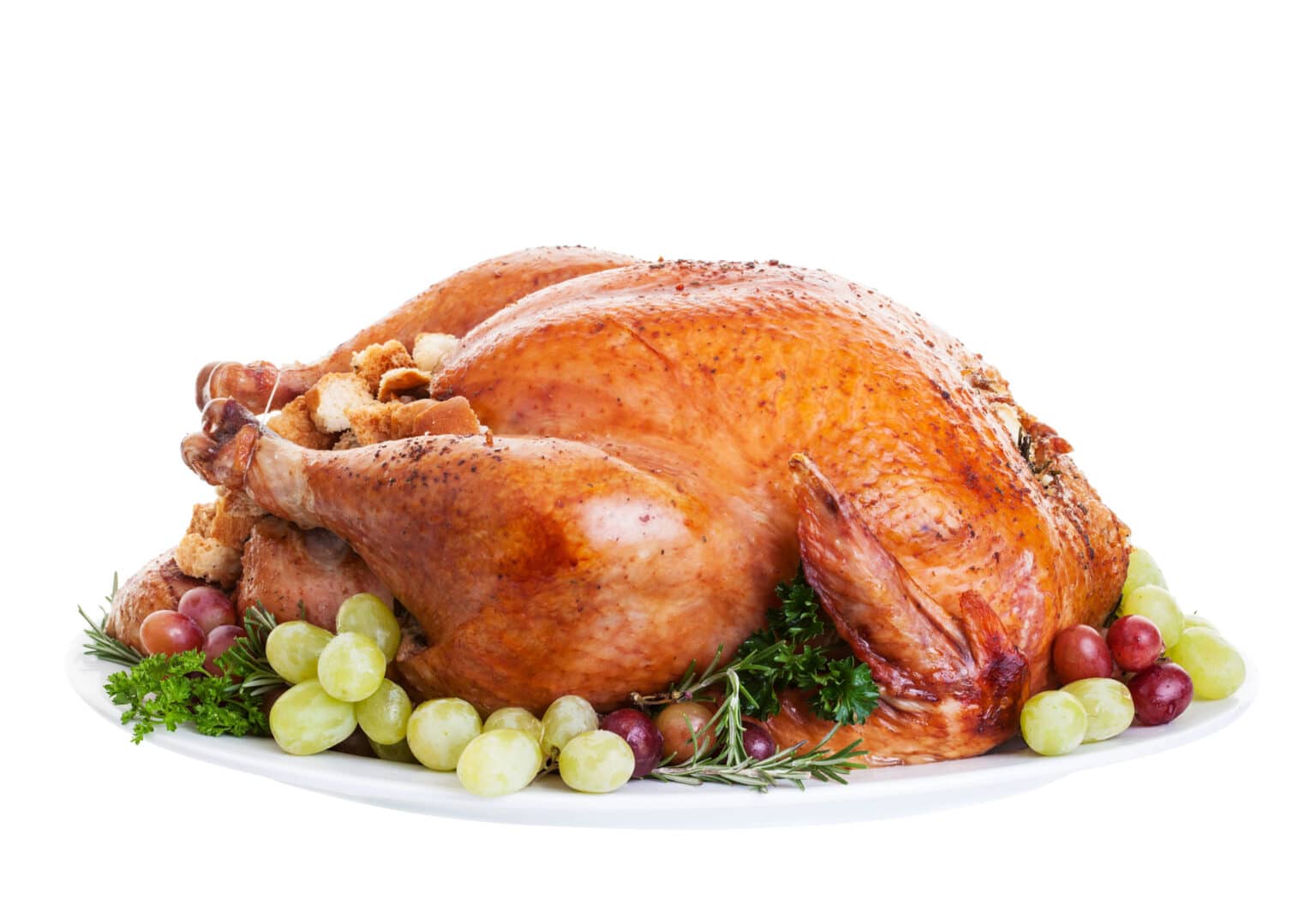 Safely Handling and Cooking Turkey to Prevent Salmonella, E. coli, or Other Food Poisoning