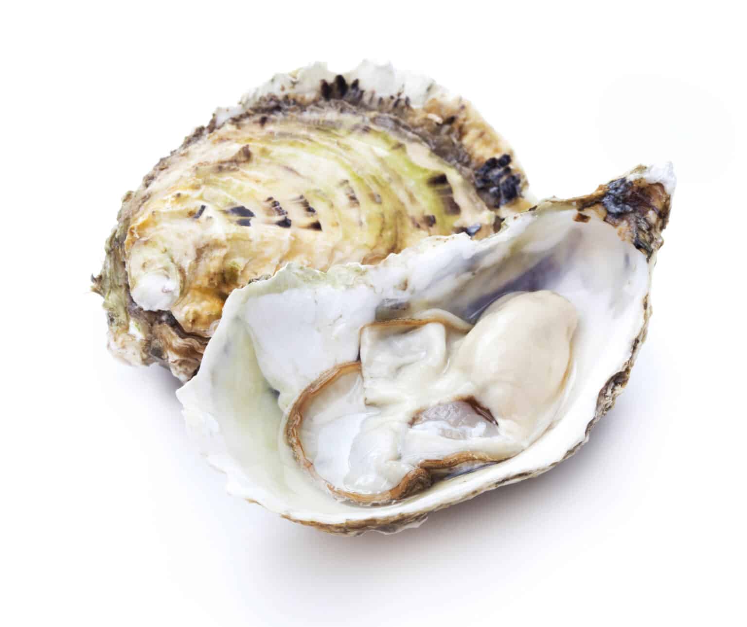 What Makes an Experienced Vibrio Lawyer? A Discussion with the Nation’s Leading Vibrio Lawyer, Ron Simon What Makes an Experienced Vibrio Lawyer? A Discussion with the Nation’s Leading Vibrio Lawyer, Ron Simon