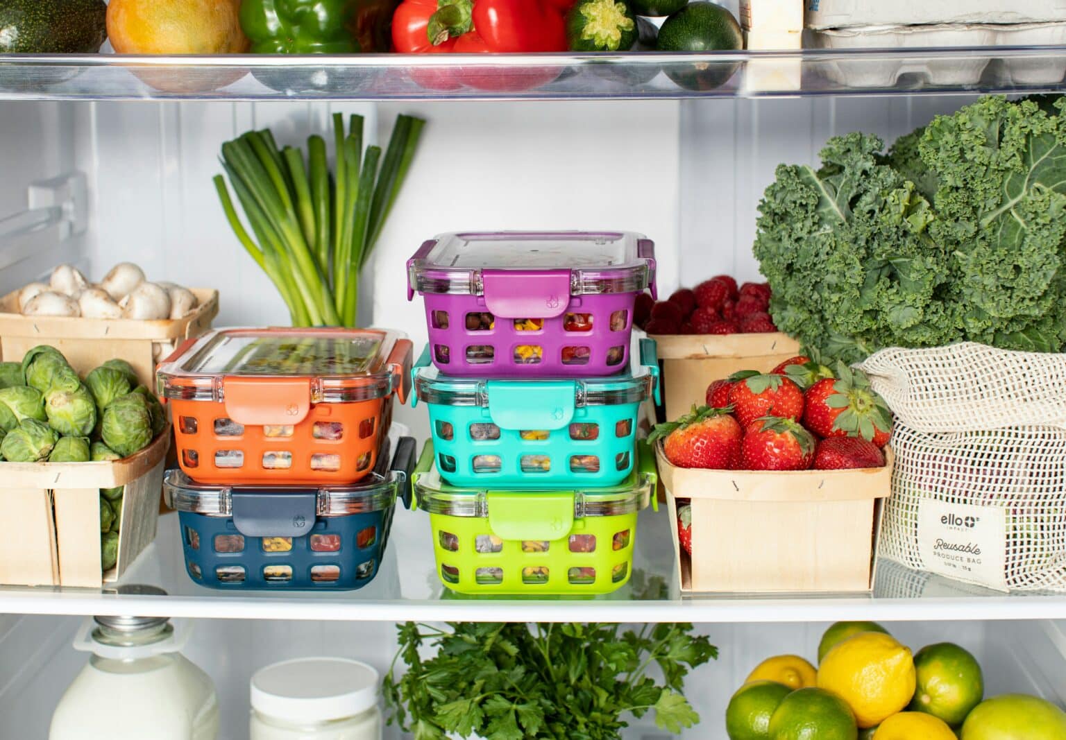 Can Meal-Prep and Food Storage Containers Give You Food Poisoning?