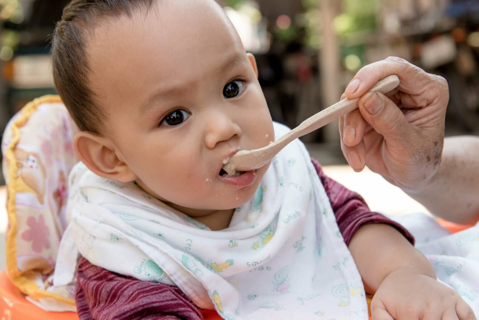 The Risk of Heavy Metals in Baby Food The Risk of Heavy Metals in Baby Food