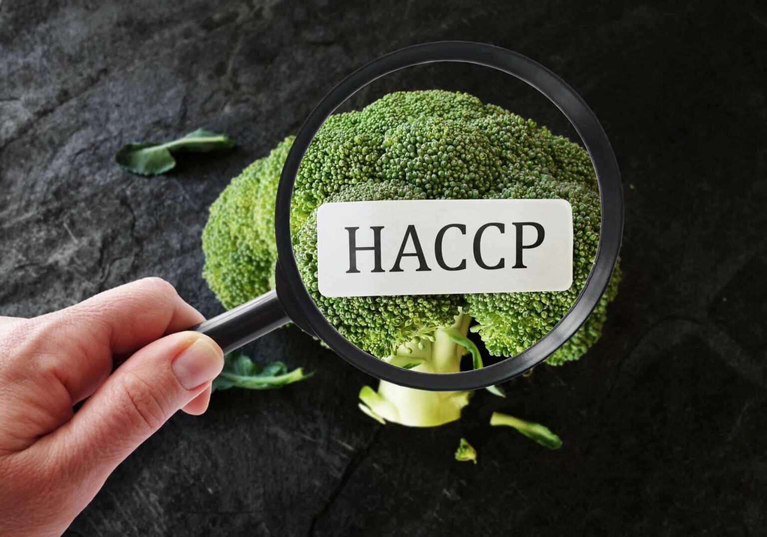 The Nanotechnology Food Safety Revolution