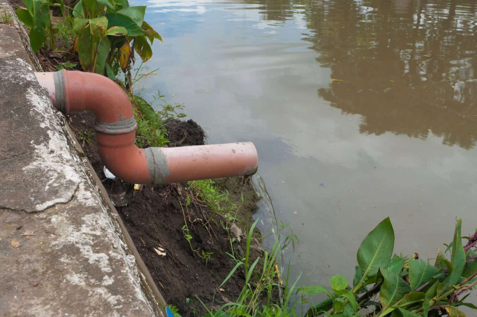 Shigella – The Highly Contagious Pathogen Spreading Through Contaminated Water Shigella – The Highly Contagious Pathogen Spreading Through Contaminated Water