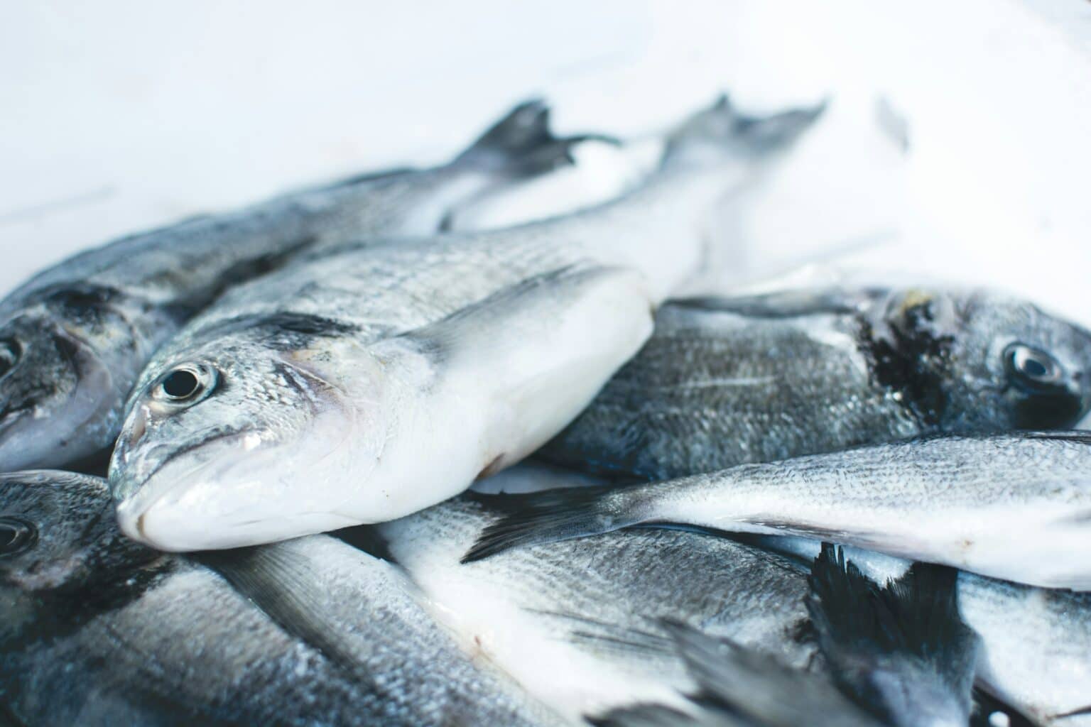 Ciguatera Fish Poisoning: A Tropical Threat Lurking in Seafood