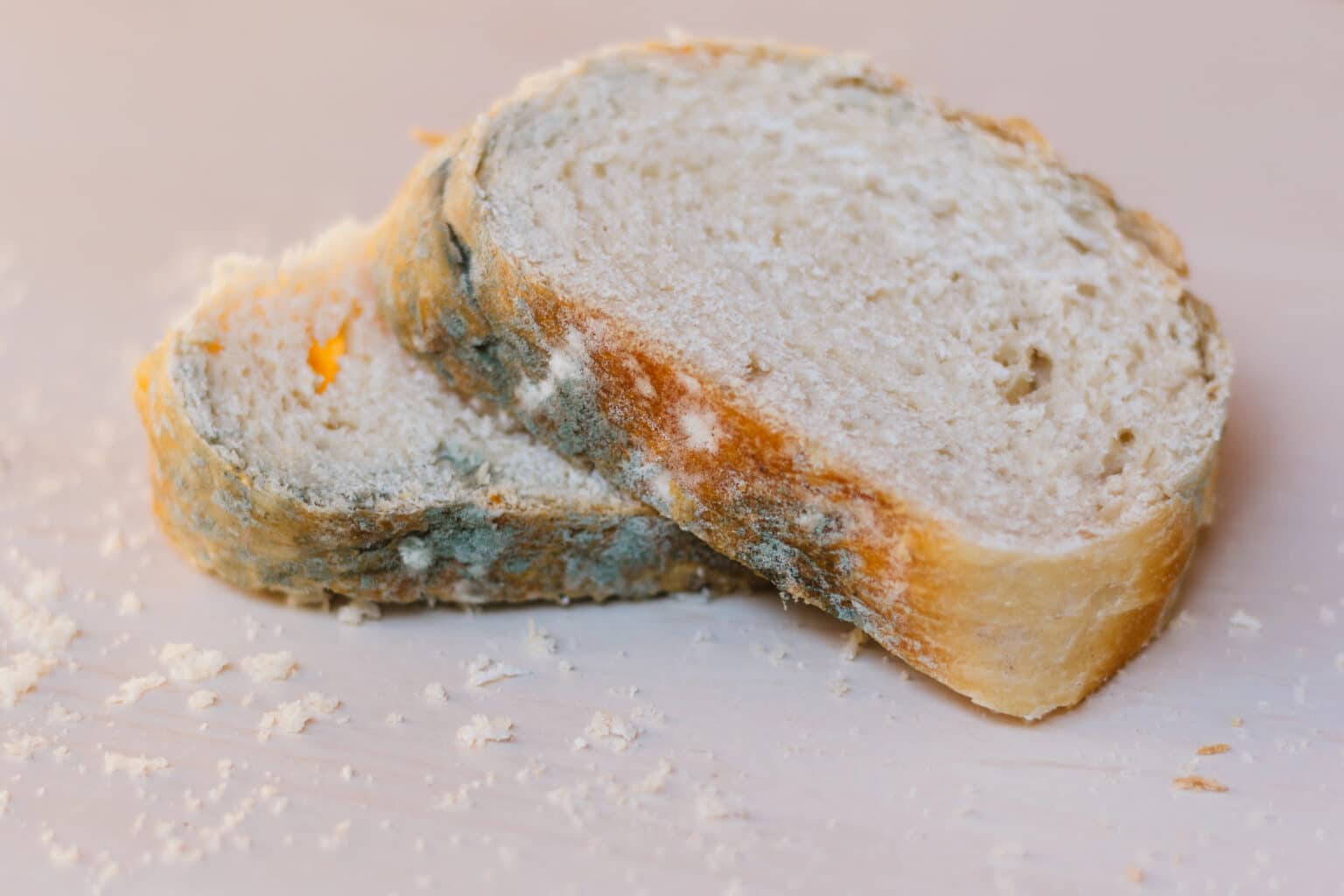 Is it Safe to Eat Moldy Food? Is it Safe to Eat Moldy Food?