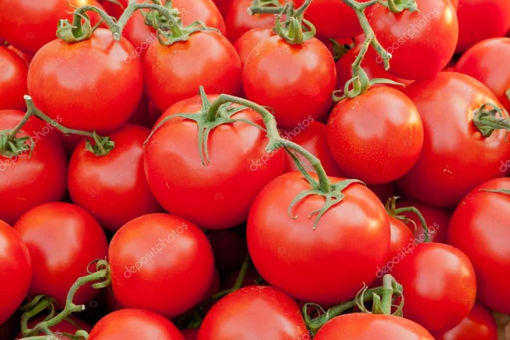 Salmonella Contamination Forces Tomatoes Recall Salmonella Contamination Forces Tomatoes Recall
