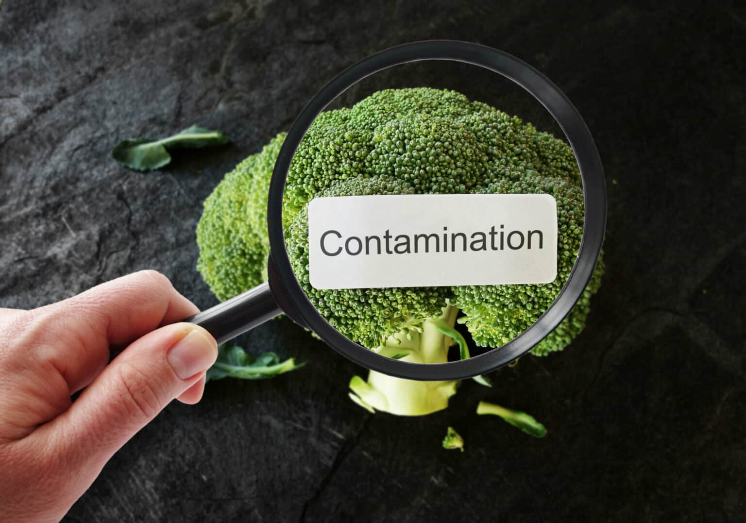 The Advanced Methods for Detecting Contaminants in Food Products The Advanced Methods for Detecting Contaminants in Food Products