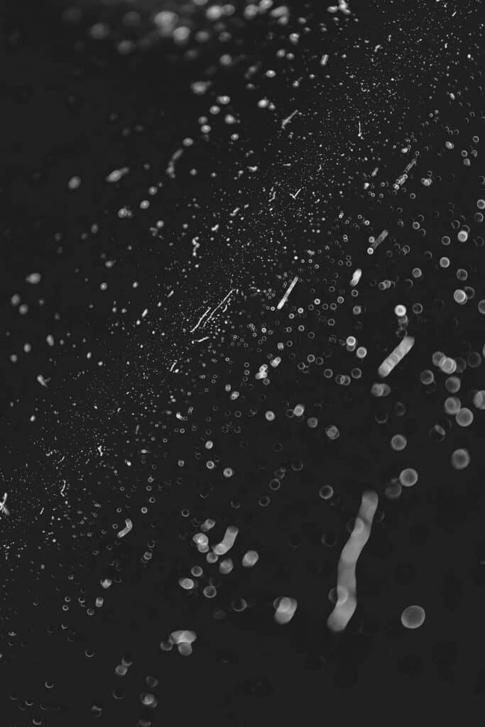 understanding-prions-and-their-human-dangers-food-poisoning-news