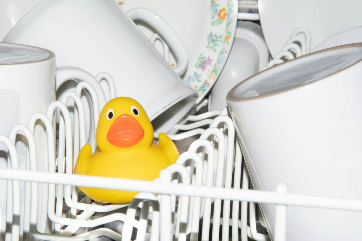Understanding the Efficacy and Limitations of Dishwasher Sanitization Capabilities