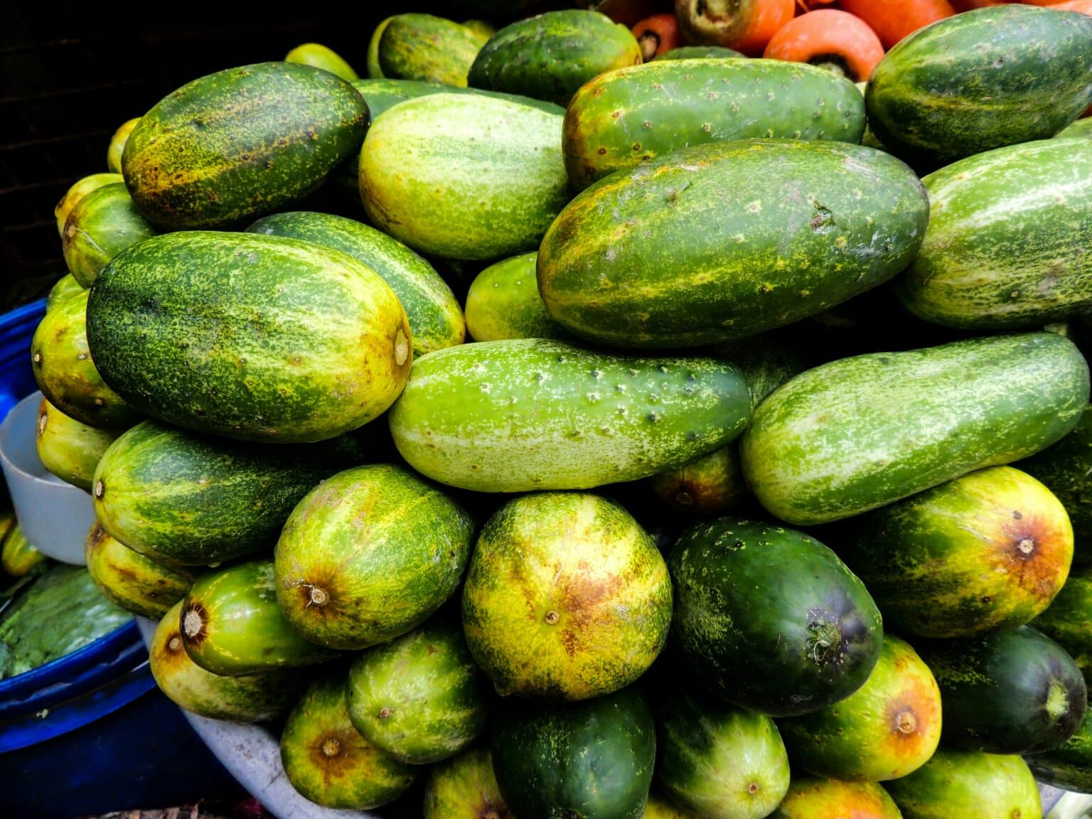Salmonella Cucumber Outbreak News: Updates, Full List of Recalls, Lawsuits Filed Salmonella Cucumber Outbreak News: Updates, Full List of Recalls, Lawsuits Filed