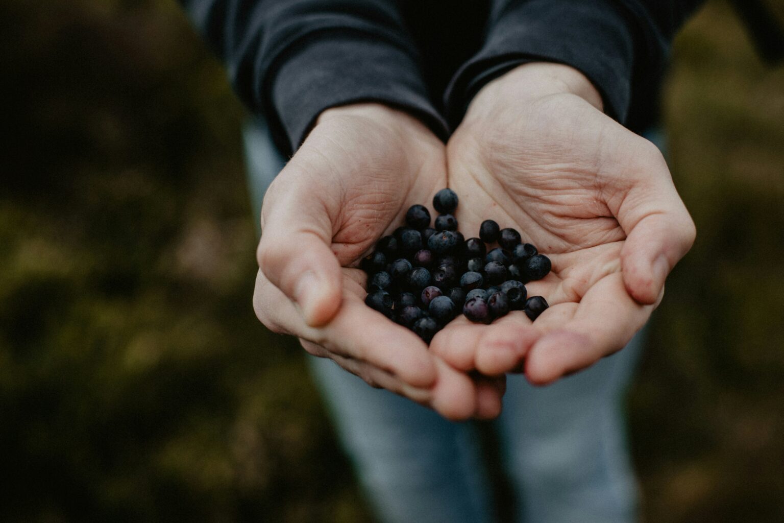 What You Need to Know About Foraging and Food Safety What You Need to Know About Foraging and Food Safety