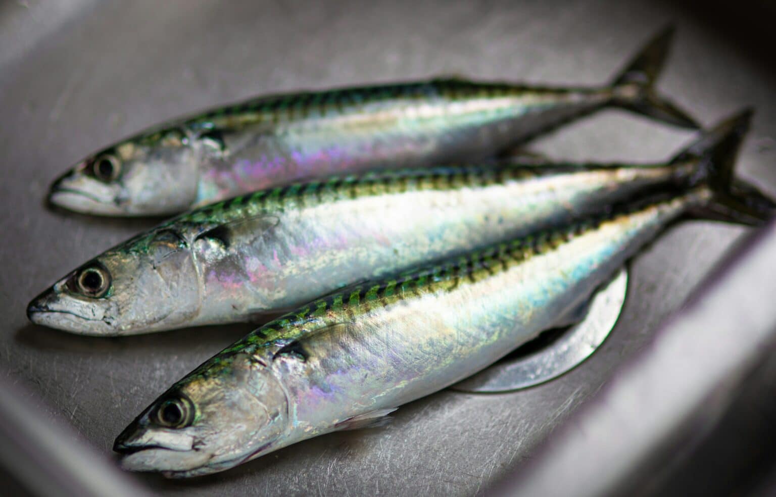 Herring Recalled Due to Risk of Botulism