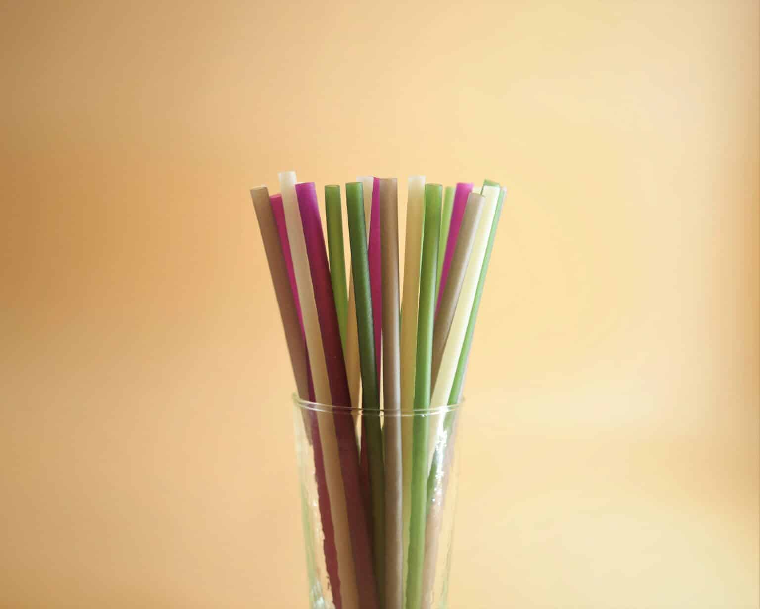 Are Your Reusable Straws a Breeding Ground for Germs? Are Your Reusable Straws a Breeding Ground for Germs?