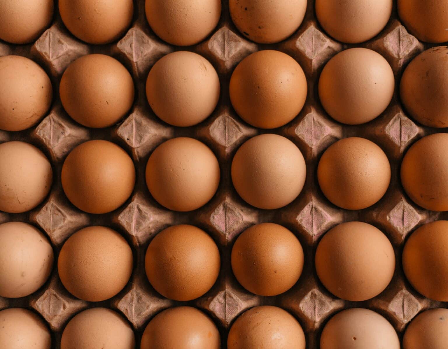 Egg Pasteurization Technology: Balancing Salmonella Elimination and Functional Integrity