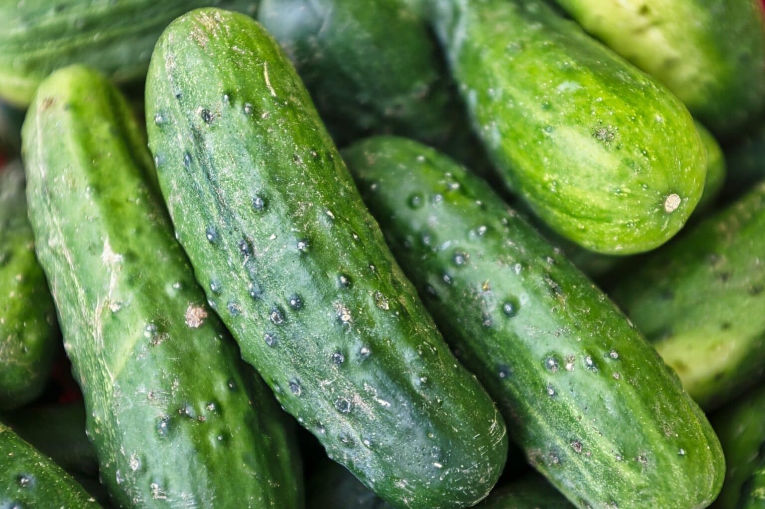 Nationwide Salmonella Outbreak Linked to Cucumbers Declared Over