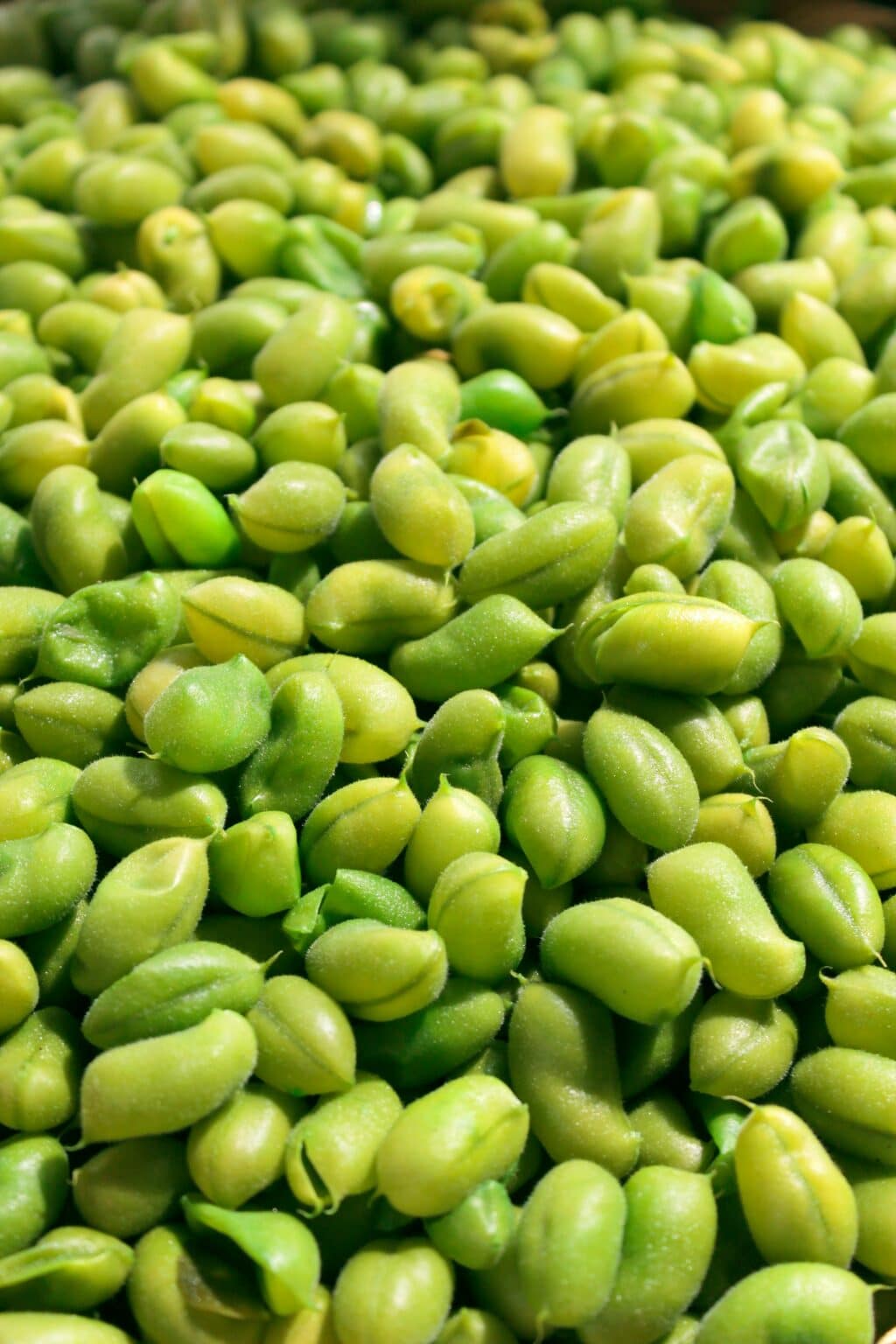 Salmonella Outbreak Linked to Frozen Sprouted Beans: What You Need to Know