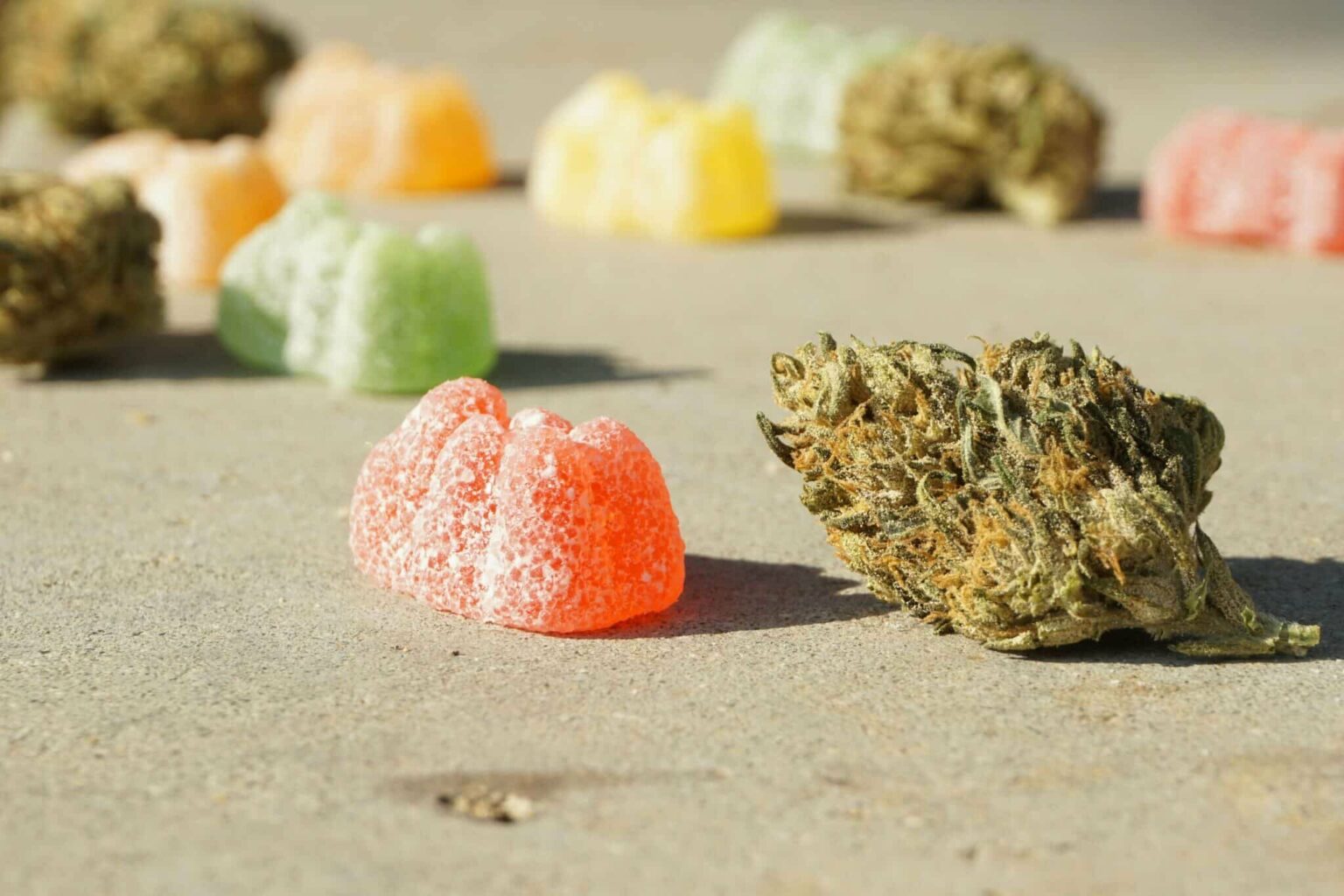 Cannabis Edibles: When a “High” Turns Hazardous