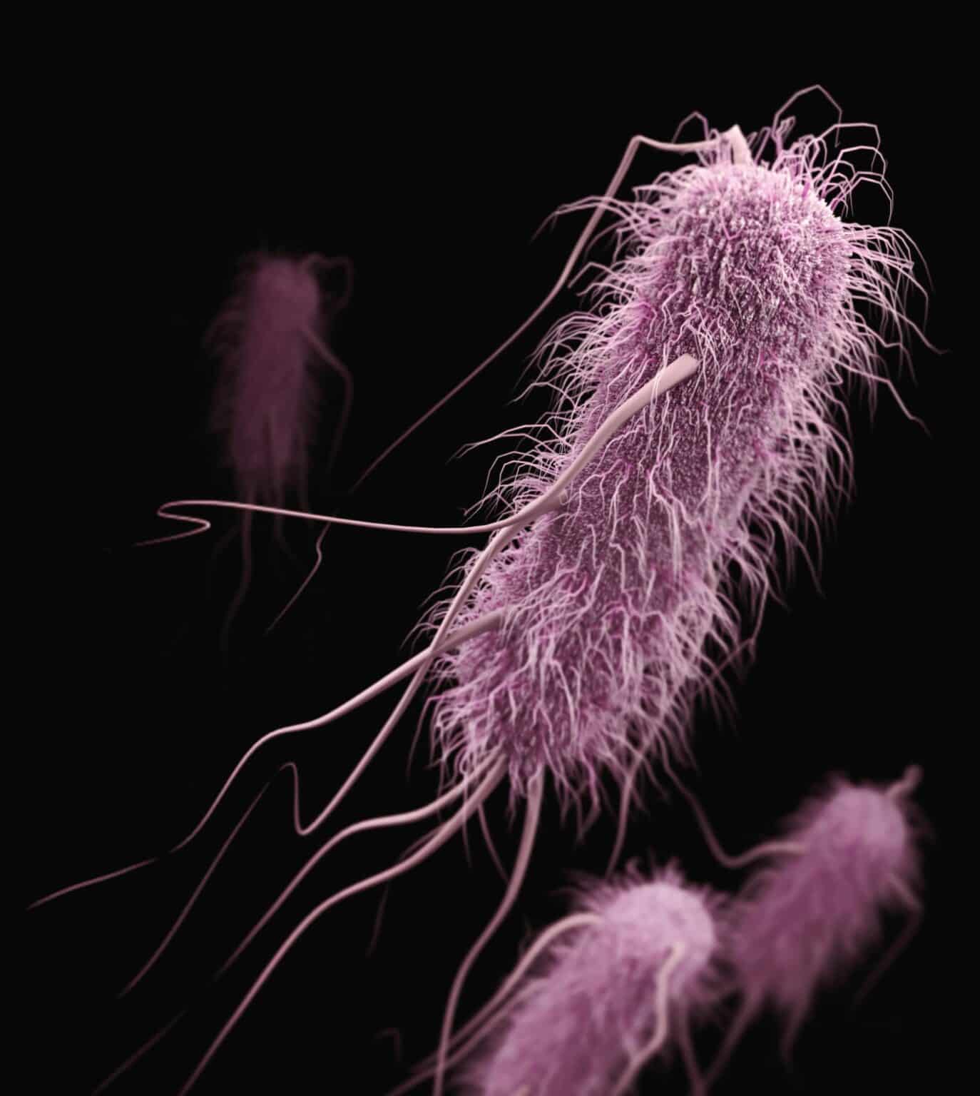 Novel Pathogens: The Rise of Lesser-Known Bacteria and Viruses in Foodborne Illness
