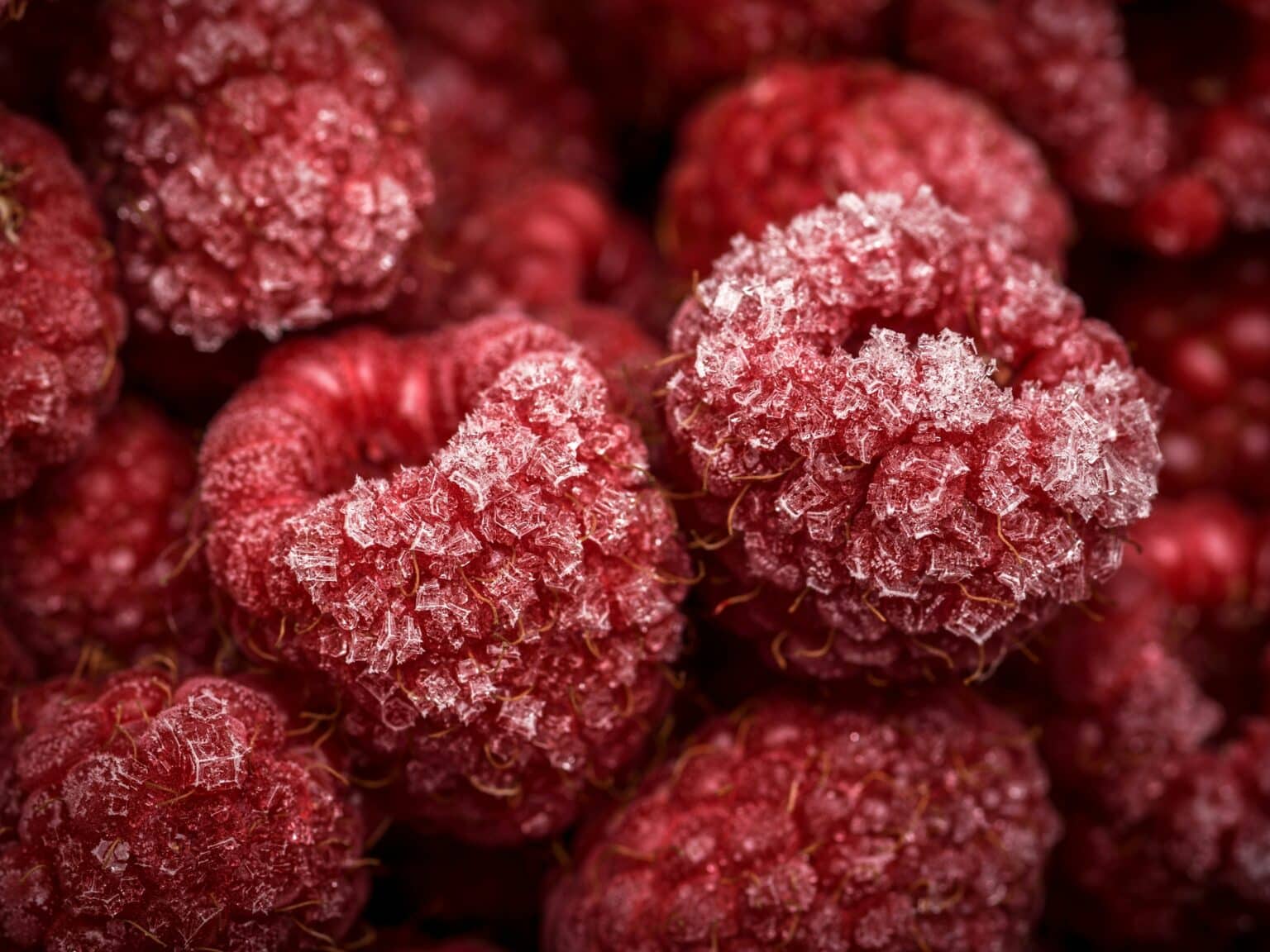 Frozen Food Misconceptions – Why Freezing Is Not a Kill Step for Pathogens Frozen Food Misconceptions – Why Freezing Is Not a Kill Step for Pathogens