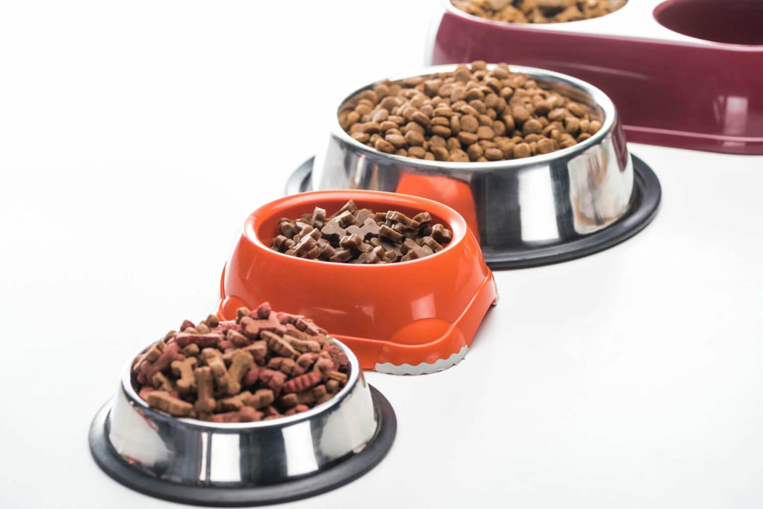 Nationwide Recall of Viva Raw Dog and Cat Food Over Salmonella and Listeria Risks