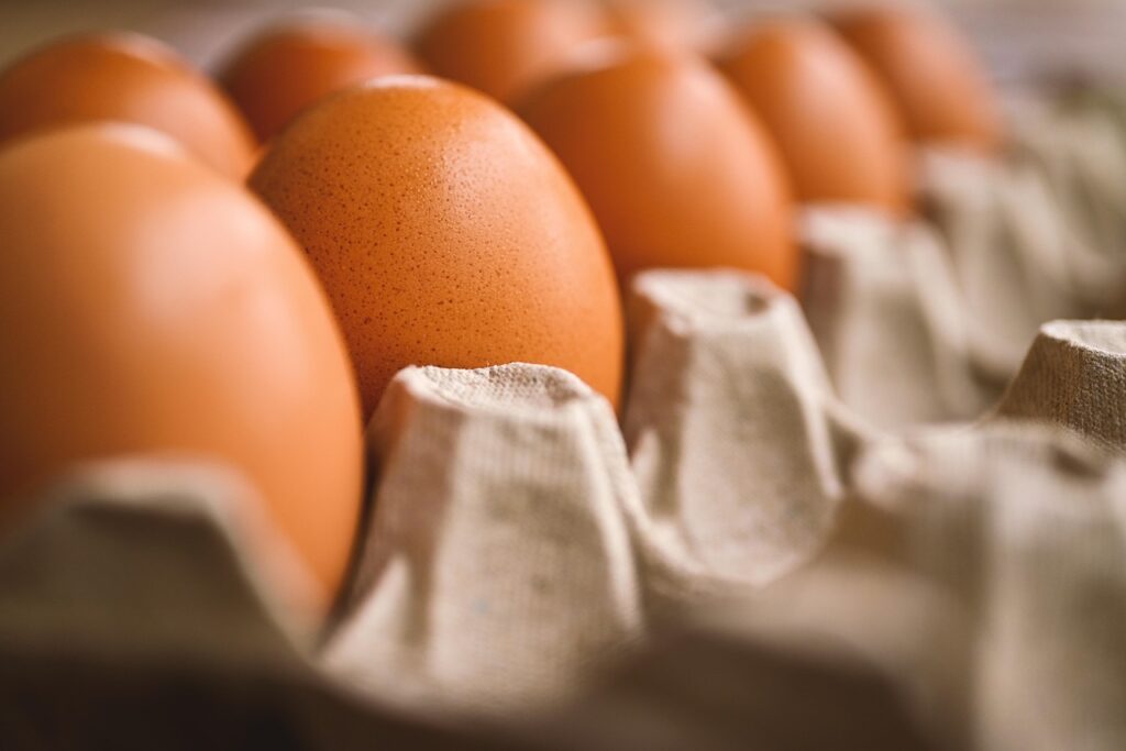 Kenz Henz Recalls “Pastured Raised Eggs” Due to Potential Salmonella Contamination