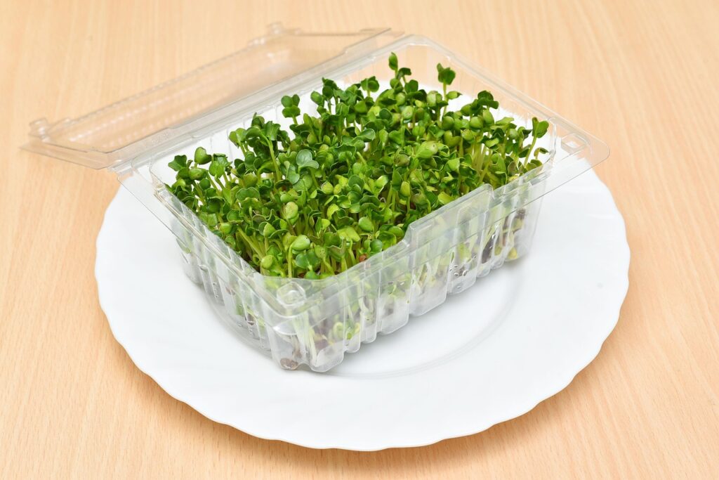 Sprouts Farmers Market Recalls Pasta Over Listeria Concerns