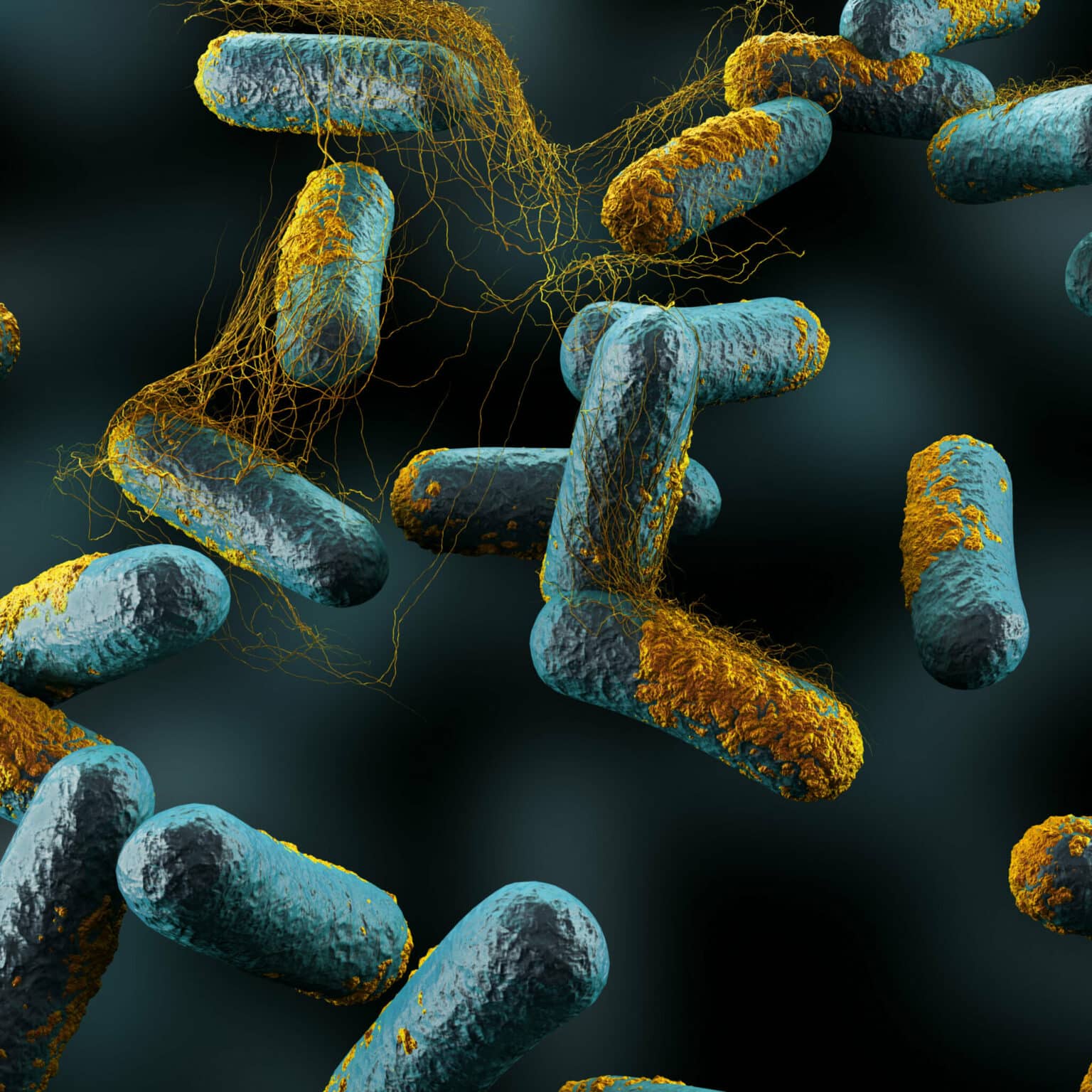 Clostridium Perfringens: The Common Bacterium That Turns Banquets Into Outbreaks Clostridium Perfringens: The Common Bacterium That Turns Banquets Into Outbreaks