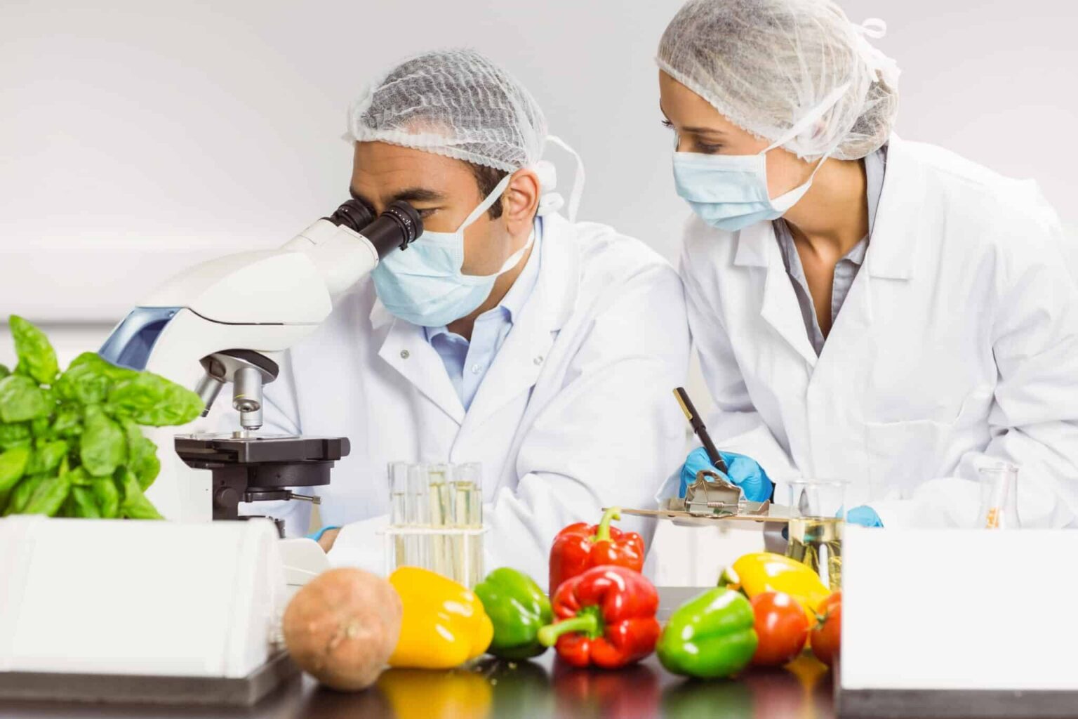 Interesting Research into Food Poisoning (Think Salmonella, Listeria, and E. coli) Slated for 2026 Interesting Research into Food Poisoning (Think Salmonella, Listeria, and E. coli) Slated for 2026